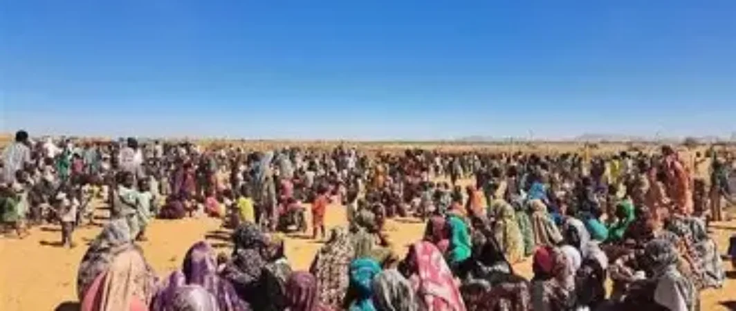 الرحلة التي لا تنتهي: شهادات النساء والأطفال الفارين من الفاشر