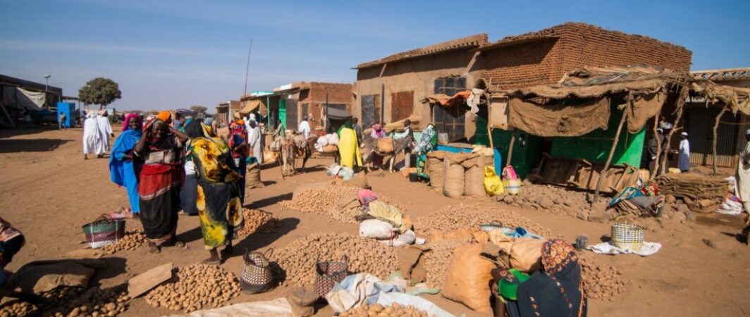 From Darfur to Khartoum: How Germany’s migration policies fuelled Sudan’s war machine