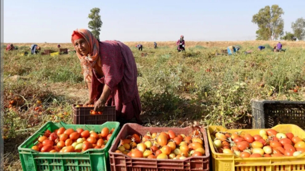 بنات الحفيانة
