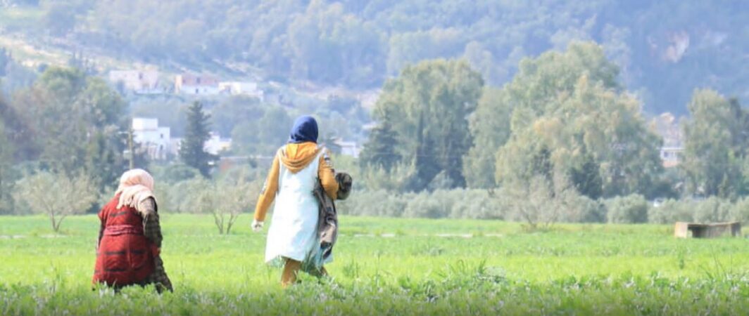 فجوة “الكيلومتر الأخير”: عطش على ضفاف الوادي